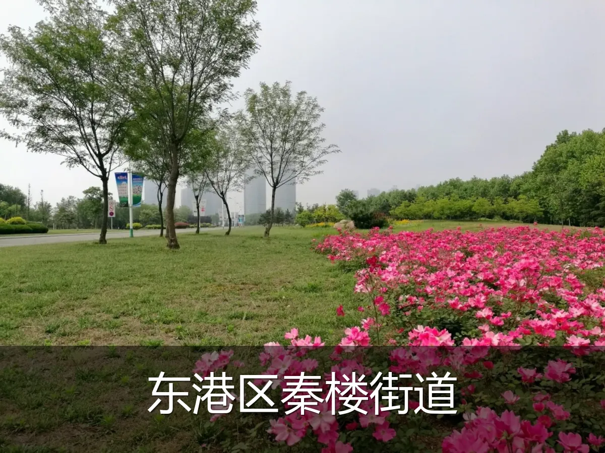 东港区秦楼街道